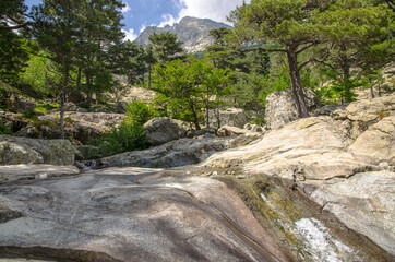 Fototapeta na wymiar Scenic stream in mountains of Corsica