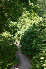 Beautiful Japanese garden visited on a sunny summer day, water, rocks, waterfalls, plants, trees and landscaping.