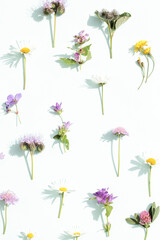 Creative layout made of summer field flowers. Nature background