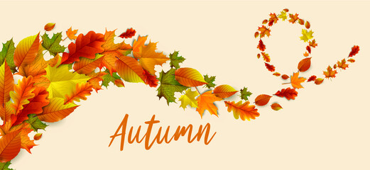 Greetings and gifts for the autumn and autumn season concept. Autumn background, poster and banner template with colorful autumn leaves.