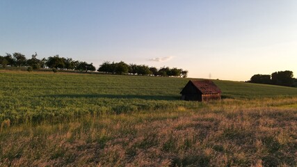 hut on field at sunset