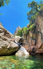 natural pool with rocks and trees