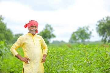 Indian / Asian farmer standing at agriculture field