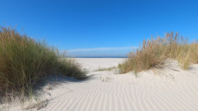 Sand dunes waving in the wind at Schiermonnikoog isle in the Netherlands
