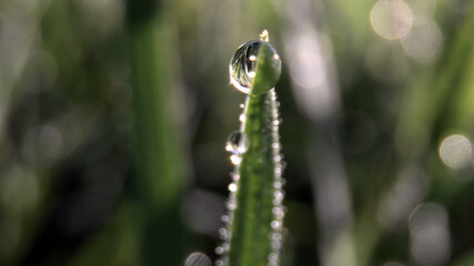 Macro images of dew drops on blades of grass