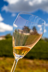 Glass of white (vintage moscato) wine. Close up shot on bright sunny day.