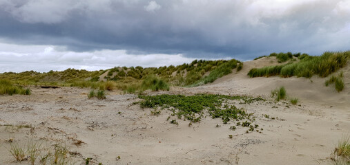 Autumn day at the beach. Horizontal shot of cloud covered dunes.