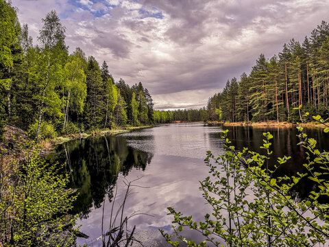 lake and forest © Алексей Жердев