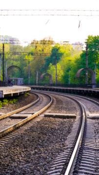 railroad tracks in the forest