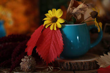 beautiful autumn still life with fallen leaves