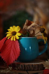 beautiful autumn still life with fallen leaves