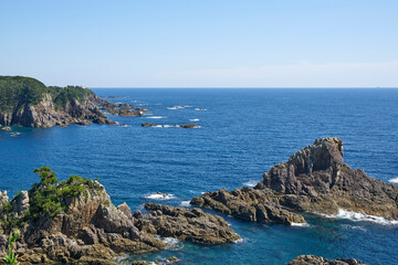 Fototapeta premium 海金剛