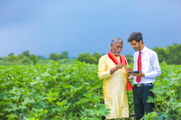 young indian agronomist with farmer at cotton field and showing some information on mobile phone
