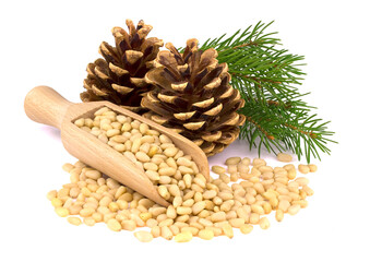 wooden scoop with pine nuts with branches and cones isolated on white