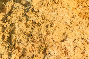 gold or yellow sea sand. background from sand. beach or quarry