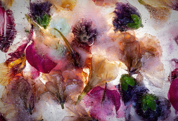 Obraz na płótnie Canvas withered flowers in ice
