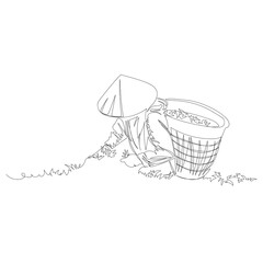 tea picker. vector contour image of a man on a tea plantation. one line