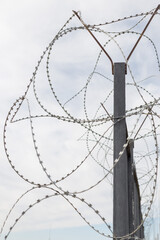 the territory is guarded by a high fence with barbed wire