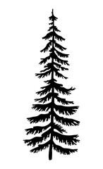 Fototapeta premium Black silhouette of fir-tree. Christmas tree. Simple tree icon. Nature concept. Black tree with needles isolated at white background. Decorative element. Plant shadow. Vector black illustration