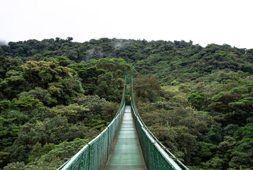 Fototapeta na wymiar Monteverde Cloud Forest hanging bridge, Costa Rica, cloudy jungle empty, suspension chain bridge over and through the moist wet Rainforest