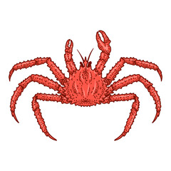 Illustration of crab in engraving style. Design element for logo, emblem, sign, poster, card, banner. Vector illustration