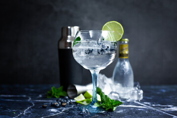 Summer alcoholic cocktail blueberry mojito with rum, mint, lime and ice, bar tools, gray background, selective focus