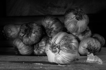 Several pieces of fresh garlic, close-up, black and white. Can be used to illustrate the beneficial properties of garlic