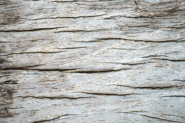 Fototapeta na wymiar wood close up for background.
