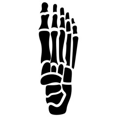
Foot bones solid icon design 
