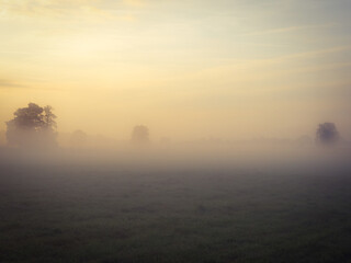 Fields  in the fog