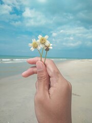 hand holding a flower