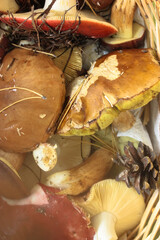 Many different mushrooms in a wicker wooden basket, background