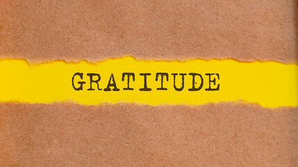 GRATITUDE message written under torn paper. Business, technology, internet concept.