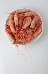 Many shrimps in a white bowl in a bright studio setting, selective focus