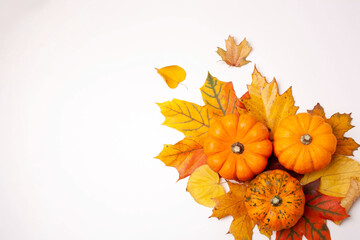 Small decorative pumpkins and autumn leaves on a white background. Flat lay style