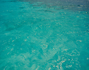 自然バックグラウンド