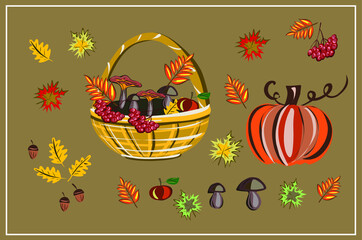 Fall, autumn. Mushrooms. Leaves. Maple. Oak. Pumpkin. Rowan. An Apple. September. October. November. Set of autumn vector isolated images.