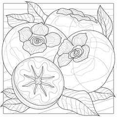 Fototapeta premium Persimmon. Fruit.Coloring book antistress for children and adults. Zen-tangle style.Black and white drawing