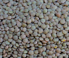 Close up of medium lentils
