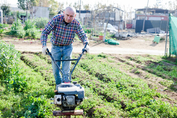 Gardener using motorized cultivator in his garden. High quality photo