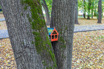Wooden birdhouse-feeder in the summer city park