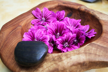 Mallow Blossoms in a Bowl, Spa treatment, Wellness