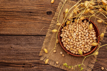 Dry chickpea in ceramic bowl and it's own branches
