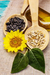 Whole and peeled sunflower seeds, sea salt and oil with head flower in wooden spoons