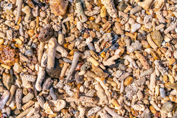 The corals beach on Hainan