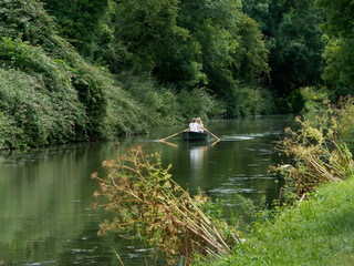 Rowers on the Chichester canal enjoying the waterway.