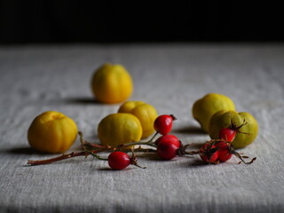 Quince and wild rose fruits