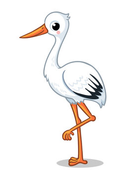 Cute stork stands on one leg on a white background. Vector illustration with a bird.