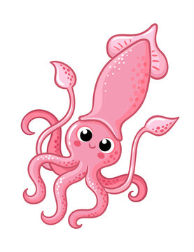Vector illustration with pink squid on a white background. Sea anima