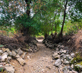 Mountain rural rocky path leading downhill between shrubs and trees in village of Lisitsite,...